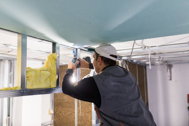 Best Wall Insulation Contractor  in Port Jefferson, NY
