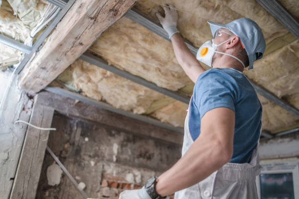 Best Insulation Removal  in Port Jefferson, NY