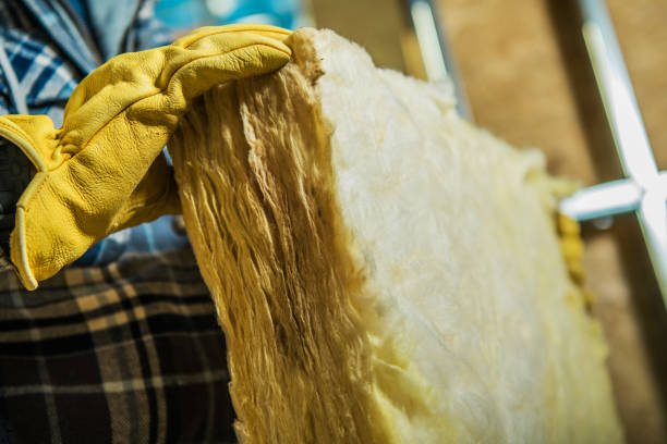 Best Home Insulation Services  in Port Jefferson, NY