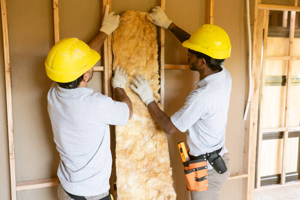 Best Insulation Replacement Services  in Port Jefferson, NY
