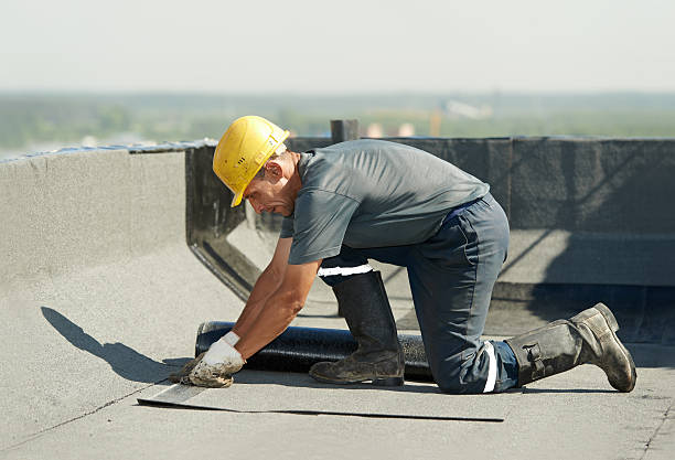 Best Cellulose Insulation  in Port Jefferson, NY