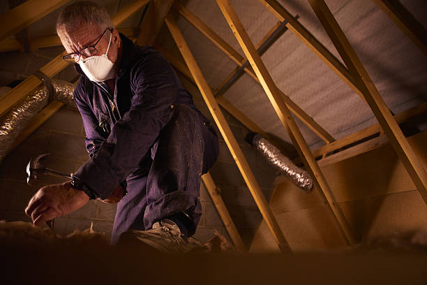 Best Residential Insulation Services  in Port Jefferson, NY